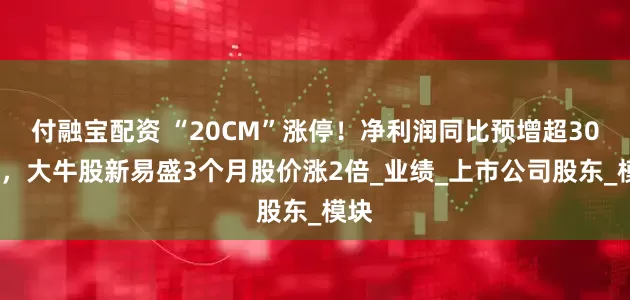 付融宝配资 “20CM”涨停！净利润同比预增超300%，大牛股新易盛3个月股价涨2倍_业绩_上市公司股东_模块