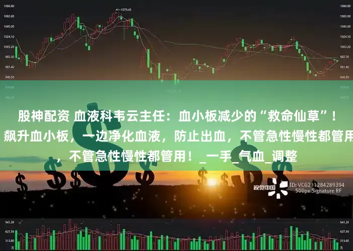股神配资 血液科韦云主任：血小板减少的“救命仙草”！一边激活骨髓造血，飙升血小板，一边净化血液，防止出血，不管急性慢性都管用！_一手_气血_调整